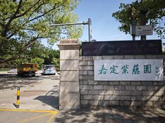 -嘉定紫藤园