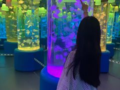 -欢乐海岸海洋奇梦馆