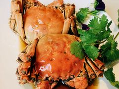 -蝶园·装修中(BFC外滩金融中心店)