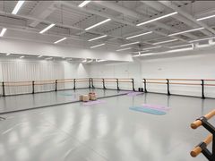 -中央芭蕾舞团·中芭艺蕾(酒仙桥明星校区)