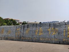 -广西壮族自治区药用植物园