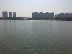 -映月湖中央公园