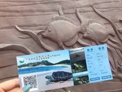 -广东惠东海龟国家级自然保护区