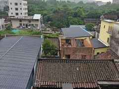 -大屏嶂森林公园