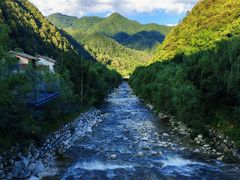 -牛背梁国家森林公园