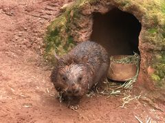 -费瑟代尔野生动物园