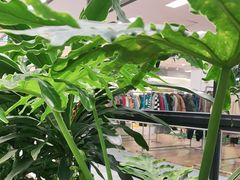 -吉野家(长沙五一广场IFS店)