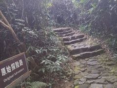 -水濂山森林公园