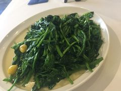 -眉州东坡(民族园店)