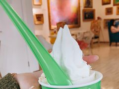 -Salud撒露欧洲冻酸奶(798艺术区店)