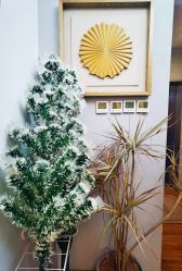 -THE LOG SALON 记录