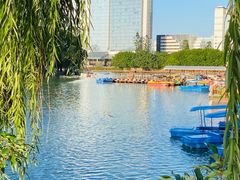 -西湖公园(鼓楼区)