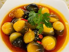 -百利鸽王(紫薇路店)