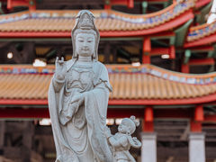 -仙岳公园