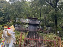 -香炉山国家森林公园