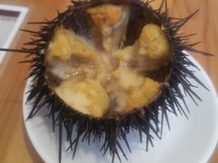 -海胆小馆(东北水饺·春柳店)