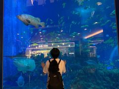 -成都浩海立方海洋公园