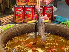 -石锅苗苗鱼(武汉首店)