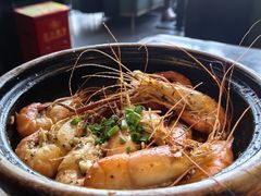-新白鹿餐厅(虹桥南丰城店)