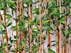 -麦子MaiMassage(打浦桥店)