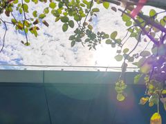 -世博源公馆·本帮融合菜·主题包厢·江景餐厅