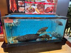 -四海之家(蛇口店)