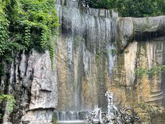 -西双版纳原始森林公园