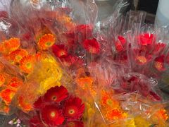 -循礼门鲜花花市(武汉循礼门店)