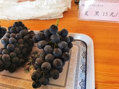 -白鹿原葡萄主题公园