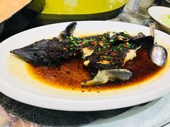 -宝宇大连海鲜渔港(金奎大厦店)