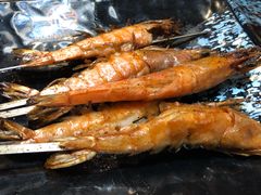 -小杨烤肉(朱雀店)