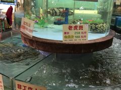 -金龙渔港(双楠店)