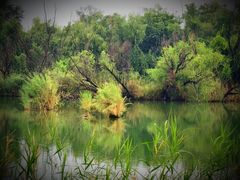 -处女泉风景名胜区