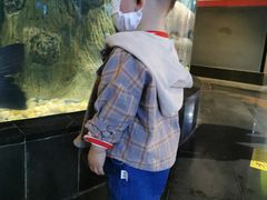 -成都浩海立方海洋公园