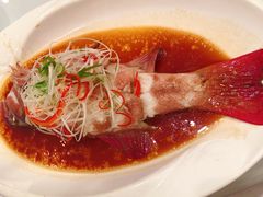 -老洋房花园饭店(绍兴路店)