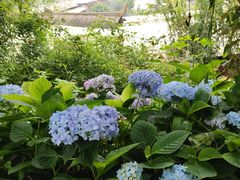 -正宗火盆自助烧烤·烤全羊·柴火鸡(龙泉山店)