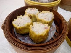 菊城鱼茸烧卖仔-国信海鲜酒楼