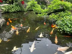 -聚福宝合苑食府(南头镇店)