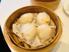 -美心皇宫(屯门大会堂店)