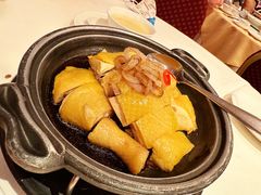 白切鸡-利苑酒家(合景国际金融广场店)