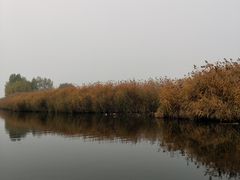 -白洋淀景区
