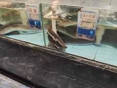 -食鼎记海鲜大排档(美食街店)