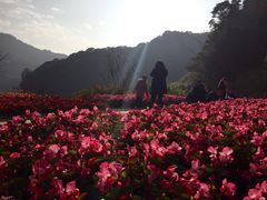 -广州市石门国家森林公园