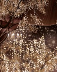 点击看大图 -华侨城洲际大酒店·宴会厅