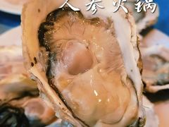 -千岛蚝高压锅生蚝·人参火锅(白云万达店)