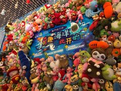 -洛阳龙门海洋馆