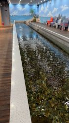 -钓虾工场·钓虾·赶海(回龙观店)