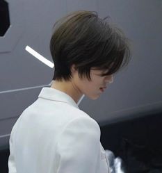 点击看大图 -藤野造型