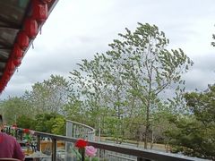 -宝荣鱼馆·临湖之宴(千岛湖店)