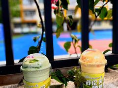 -茉酸奶(春熙路店)